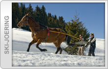 Ski Joering